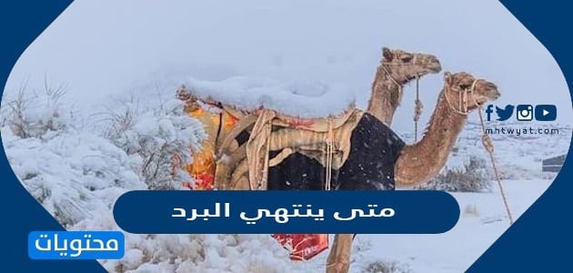 متى ينتهي البرد