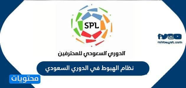 نظام الهبوط في الدوري السعودي 2024