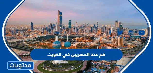 كم عدد المصريين في الكويت 2025