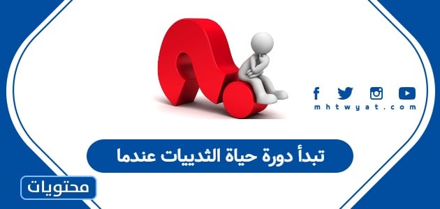 تبدأ دورة حياة الثدييات عندما