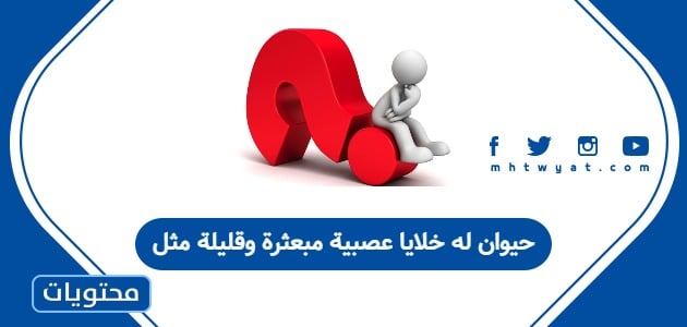 حيوان له خلايا عصبية مبعثرة وقليلة مثل