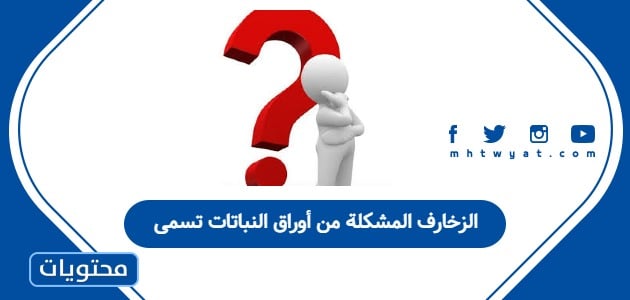 الزخارف المشكلة من أوراق النباتات تسمى