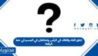 تتفق الفاء والقاف في الرأس وتختلفان في الجسم في خط الرقعة.