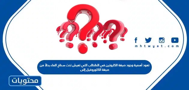 تعود أهمية وجود صبغة الكاروتين في الطحالب التي تعيش تحت سطح الماء بدلاً من صبغة الكلوروفيل إلى