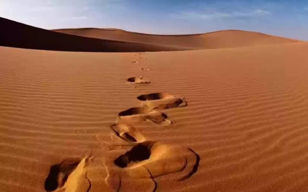 أغرب مخلوق يعيش في صحراء السعودية