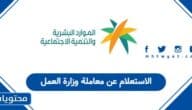 الاستعلام عن معاملة وزارة العمل في الإمارات 2026