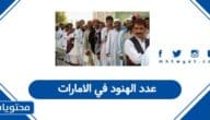 كم عدد الهنود في الامارات 2025