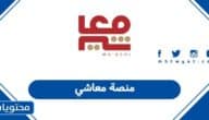 منصة معاشي: طريقة التسجيل وتسجيل الدخول ورقم التواصل