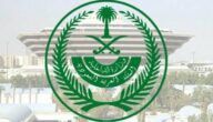 متابعة معاملات وزارة الداخلية إلكترونيًا بخطوات بسيطة